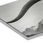 Alpine Horned Beauty – Alu-Dibond wall art showcasing a close-up of curved cow horns against a misty backdrop.