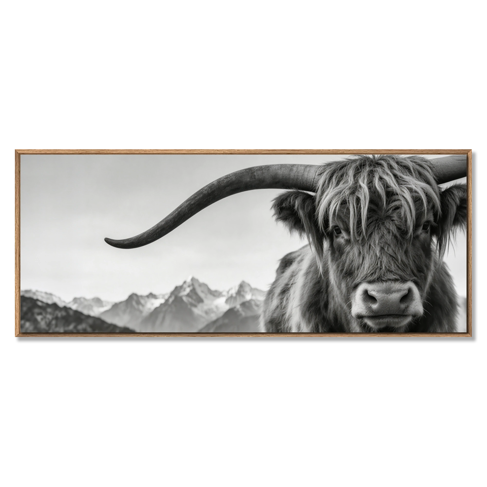 Alpine Horned Beauty – Alu-Dibond wall art featuring a close-up of a majestic Alpine cow against a misty mountain backdrop.