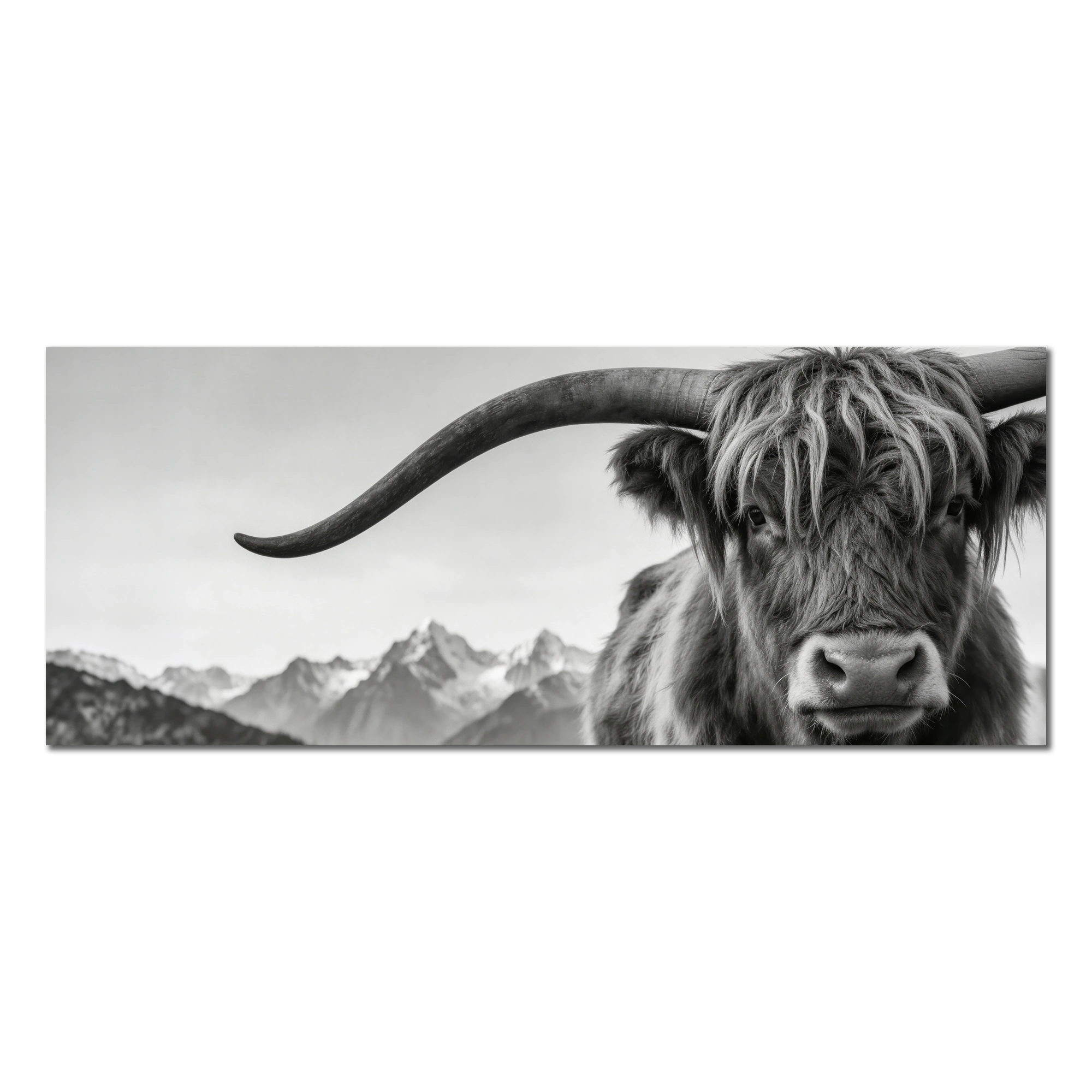 Alpine Horned Beauty – Alu-Dibond wall art featuring a black-and-white portrait of an Alpine cow.