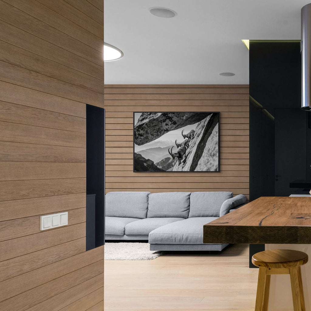 Alpine Ibex Cliff – Alu-Dibond wall art displayed in a contemporary living room setting with gray couch.