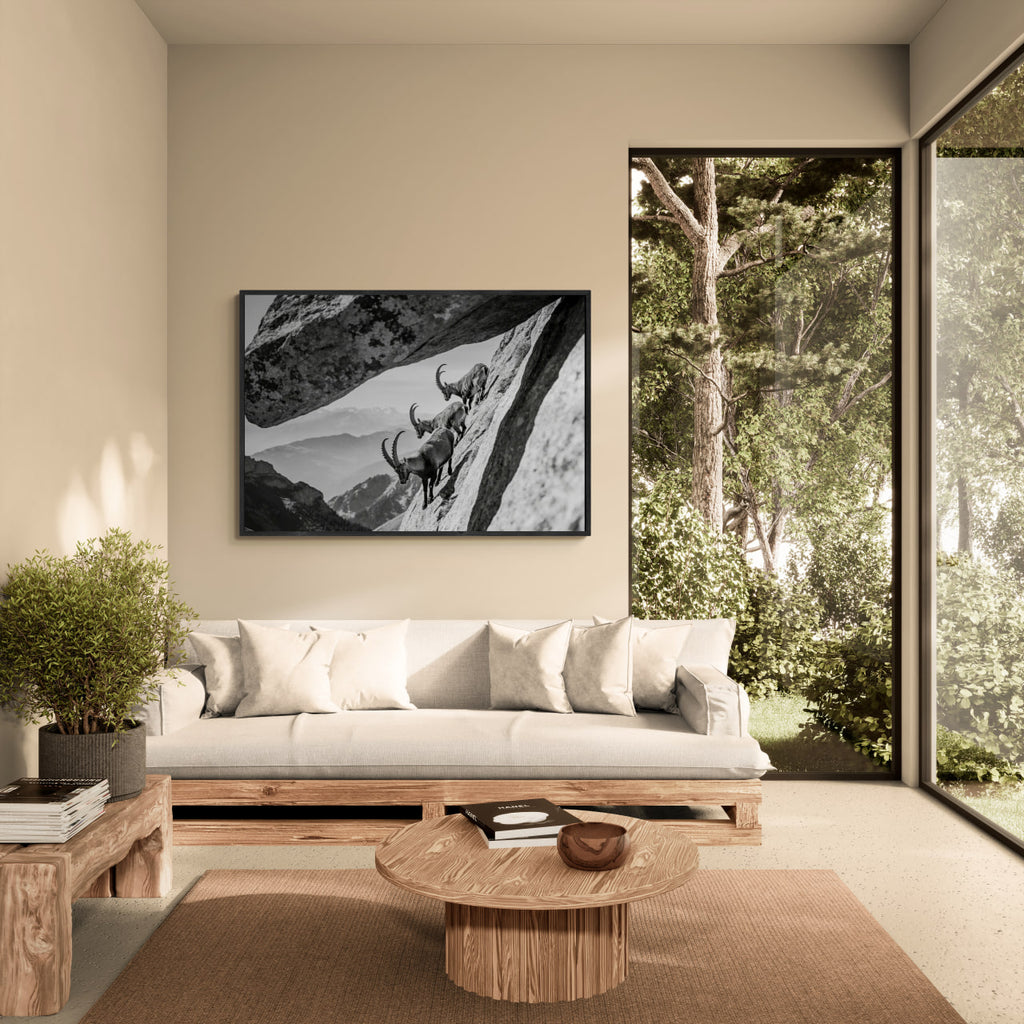 Alpine Ibex Cliff – Alu-Dibond wall art showcasing three ibex on a mountain cliff in a modern living room.