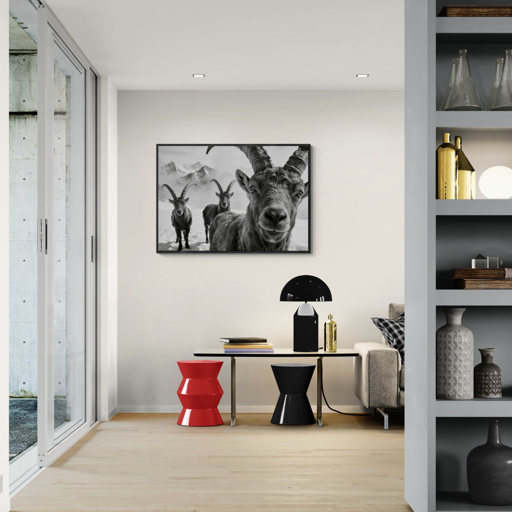 Alpine Ibex Portrait – Alu-Dibond wall art