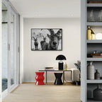 Alpine Ibex Portrait – Alu-Dibond wall art