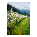 Alpenblüte - Poster