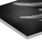 Antlers in Rain – Alu-Dibond wall art showcasing deer antlers with fine droplets under soft light.