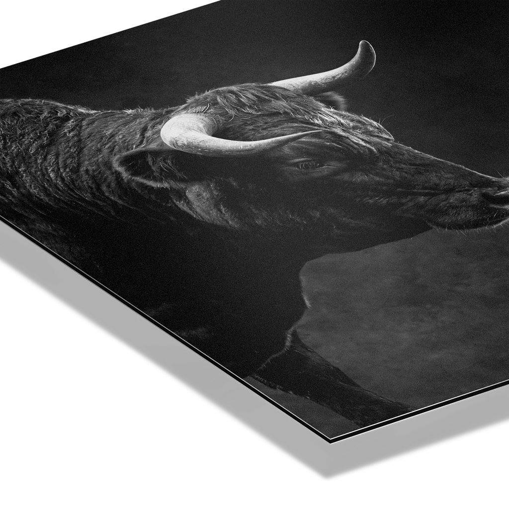Powerful bull representing strength in the Balance of Power, symbolizing ambition and controlled tension in markets.