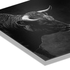 Powerful bull representing strength in the Balance of Power, symbolizing ambition and controlled tension in markets.