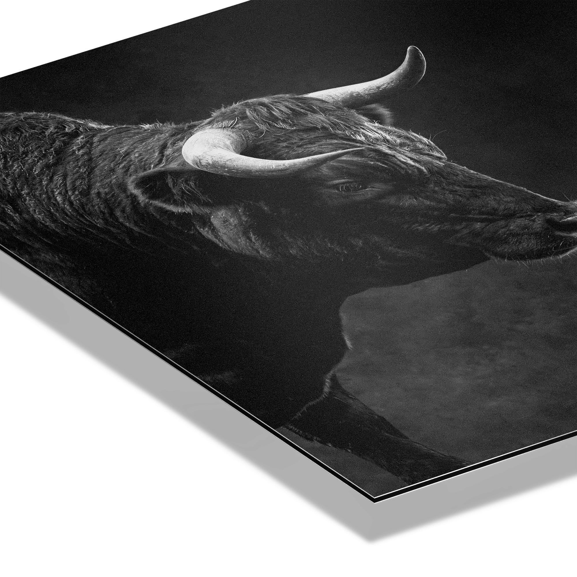 Powerful bull representing strength in the Balance of Power, symbolizing ambition and controlled tension in markets.