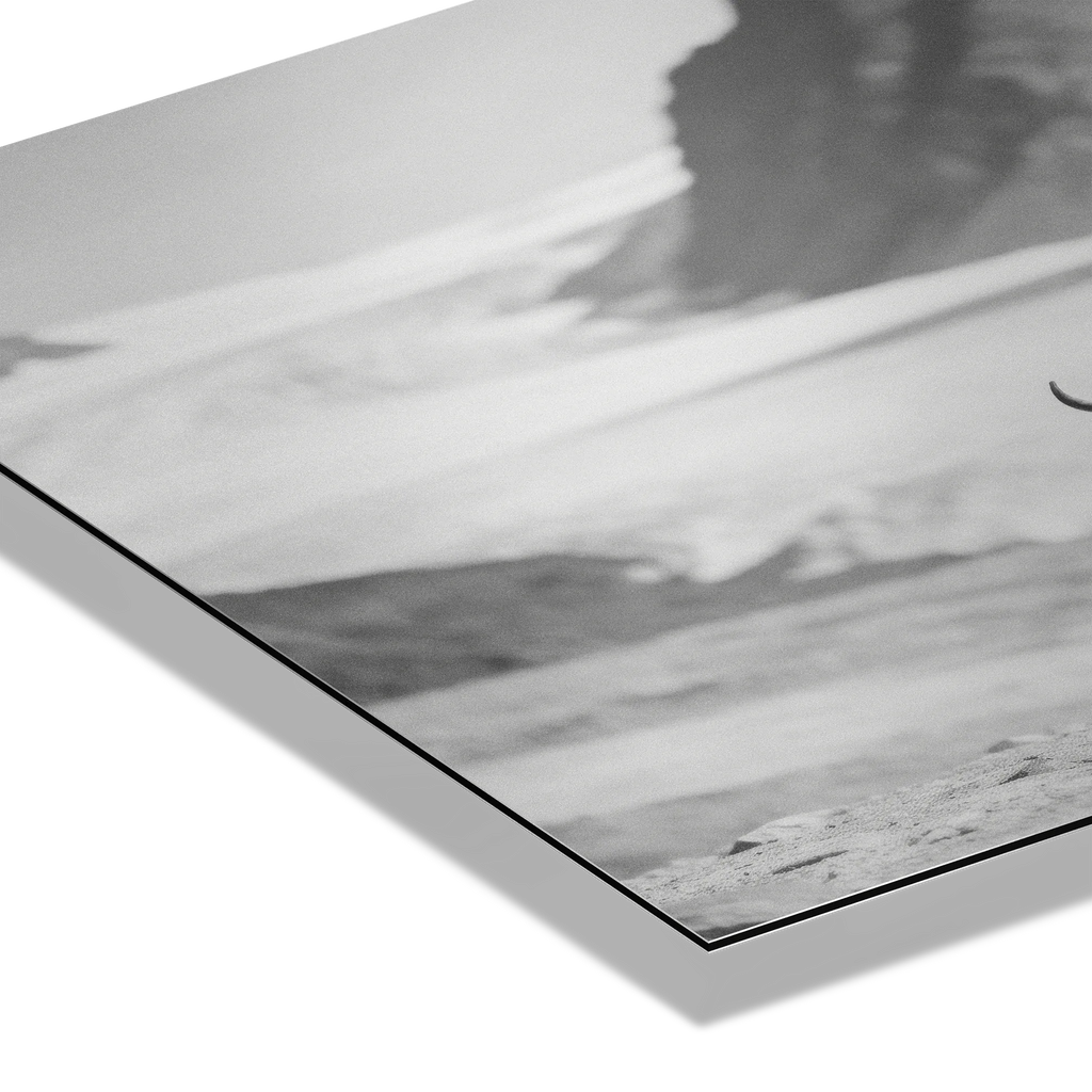 Black Cow Passage – Alu-Dibond wall art highlighting the serene black-and-white image of an Alpine cow.