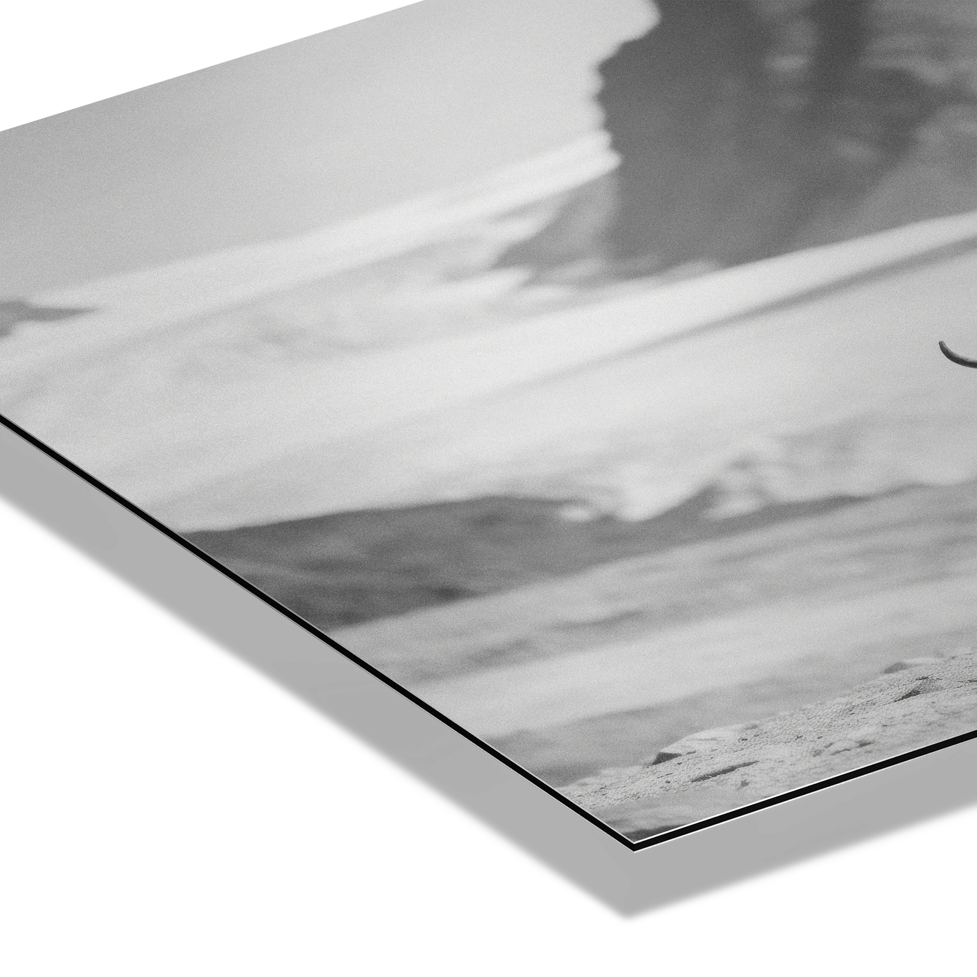 Black Cow Passage – Alu-Dibond wall art highlighting the serene black-and-white image of an Alpine cow.