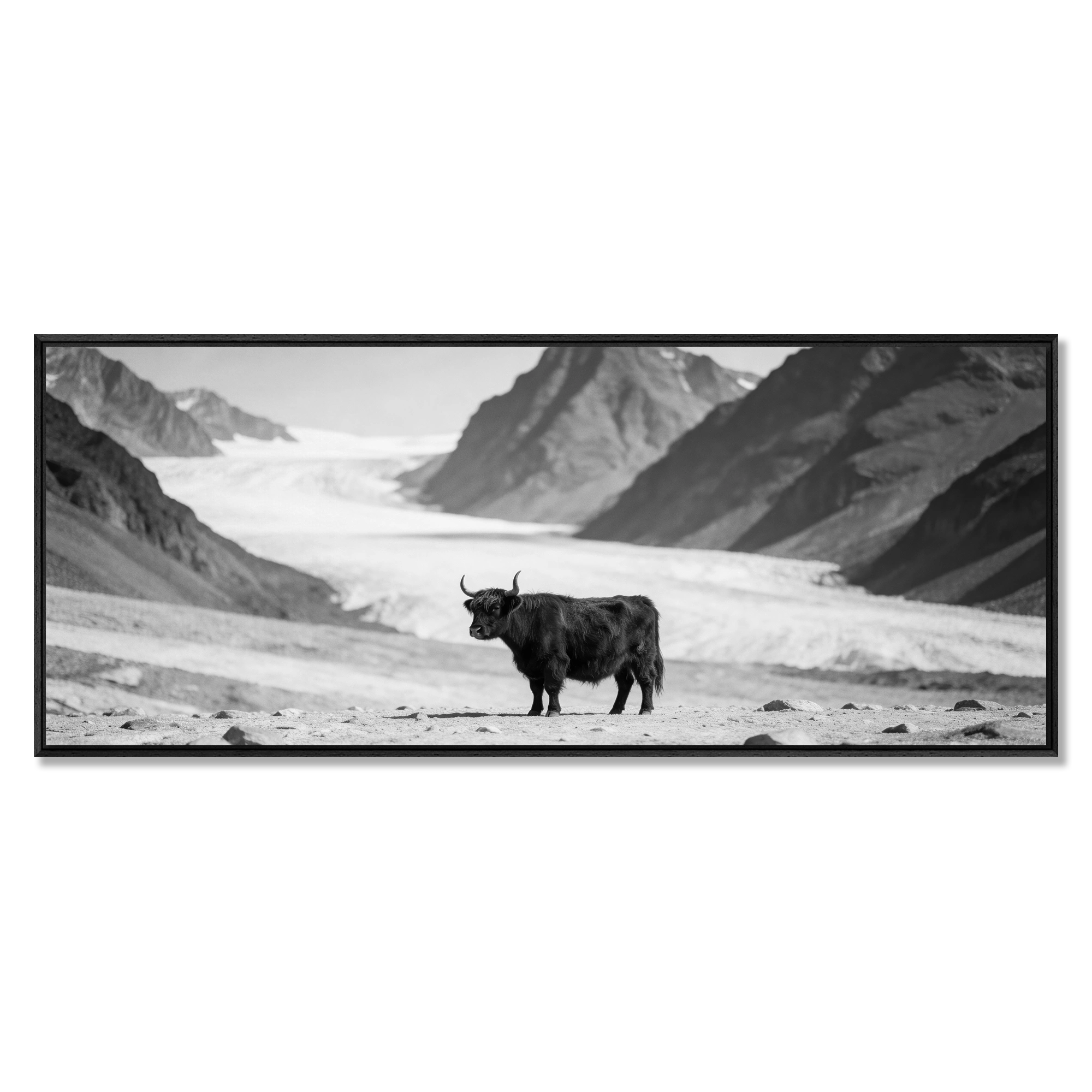 Black Cow Passage – Alu-Dibond wall art featuring a solitary cow in a dramatic black-and-white alpine landscape.