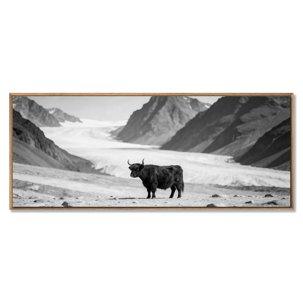 Black Cow Passage – Alu-Dibond wall art featuring a solitary cow on an alpine landscape.