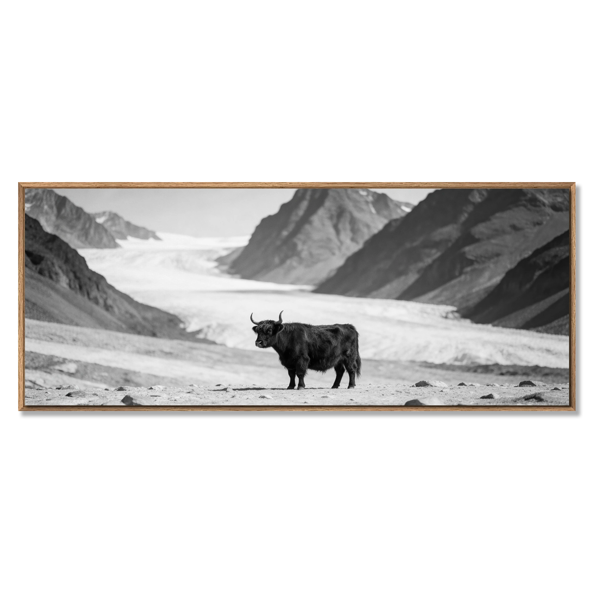 Black Cow Passage – Alu-Dibond wall art featuring a solitary cow on an alpine landscape.