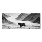 Black Cow Passage – Alu-Dibond wall art featuring a Highland cow on a rocky mountain landscape.