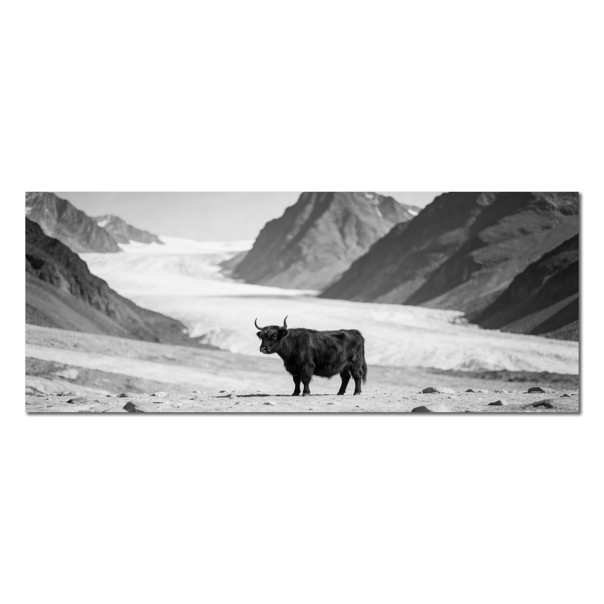 Black Cow Passage – Alu-Dibond wall art featuring a Highland cow on a rocky mountain landscape.