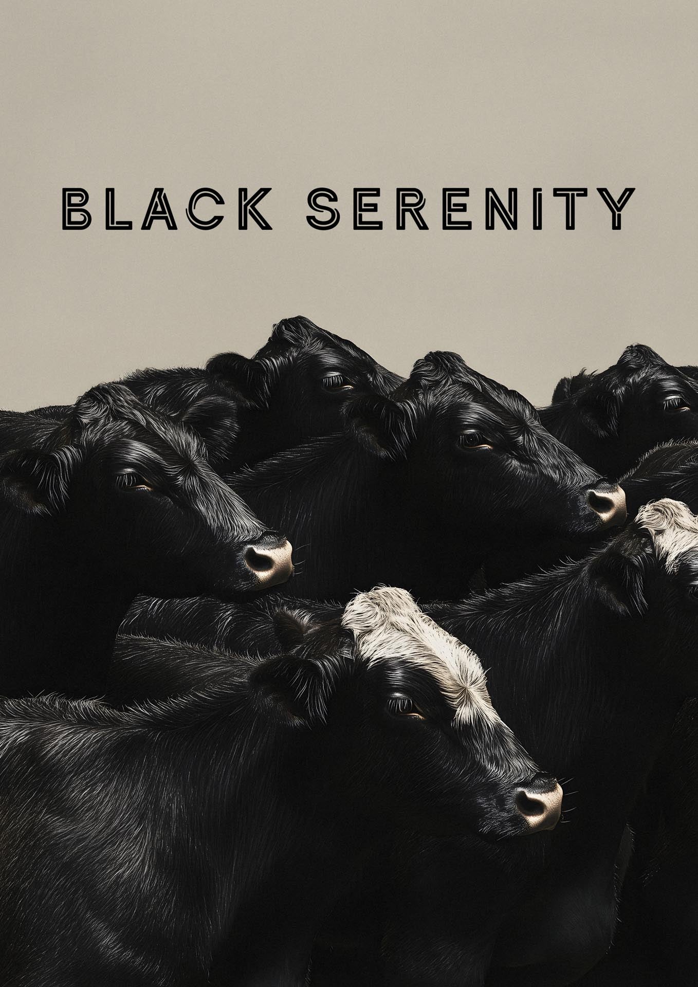 Black Serenity - Poster