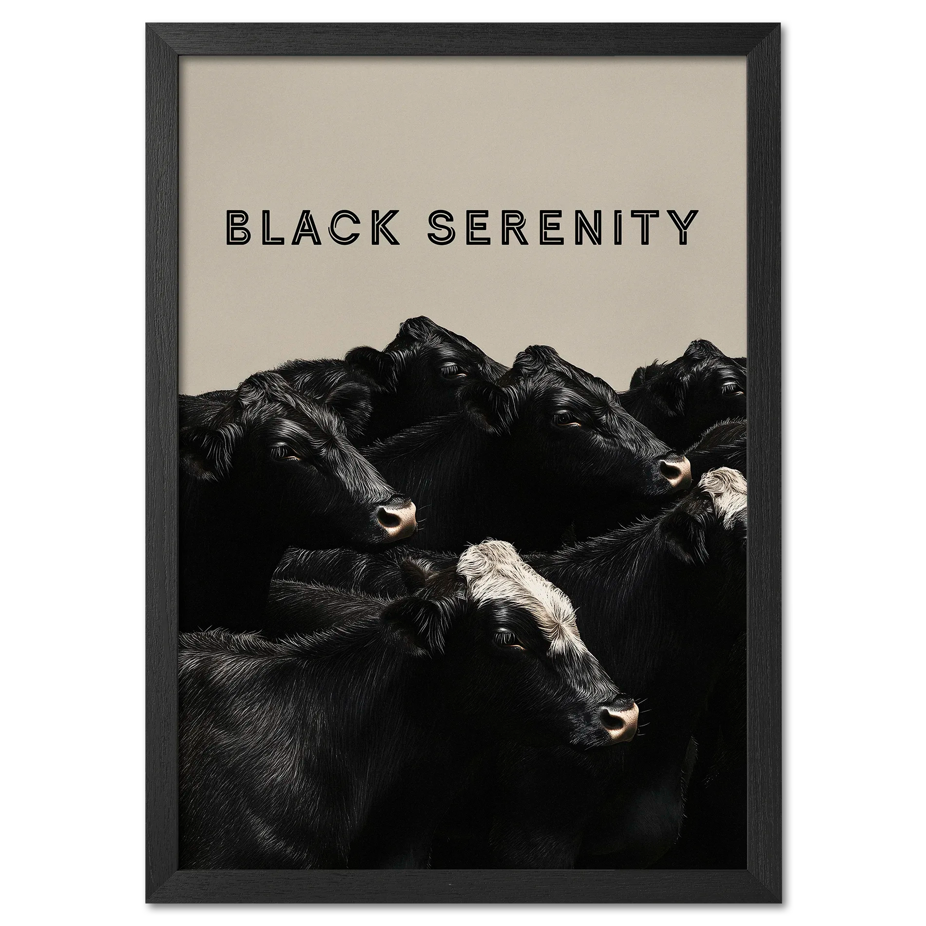 Black Serenity - Poster