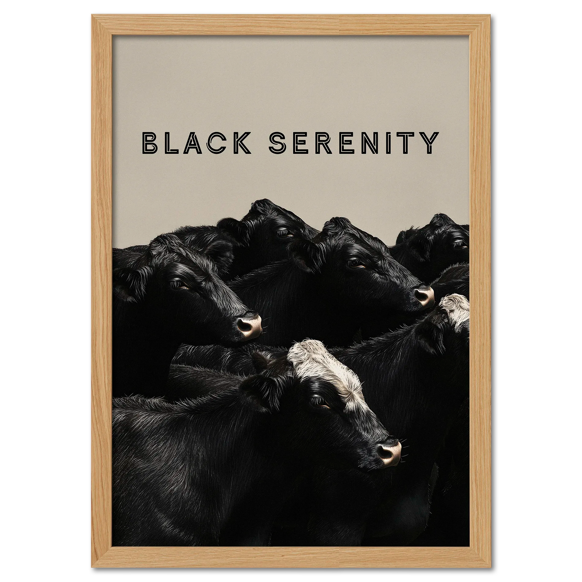 Black Serenity - Poster