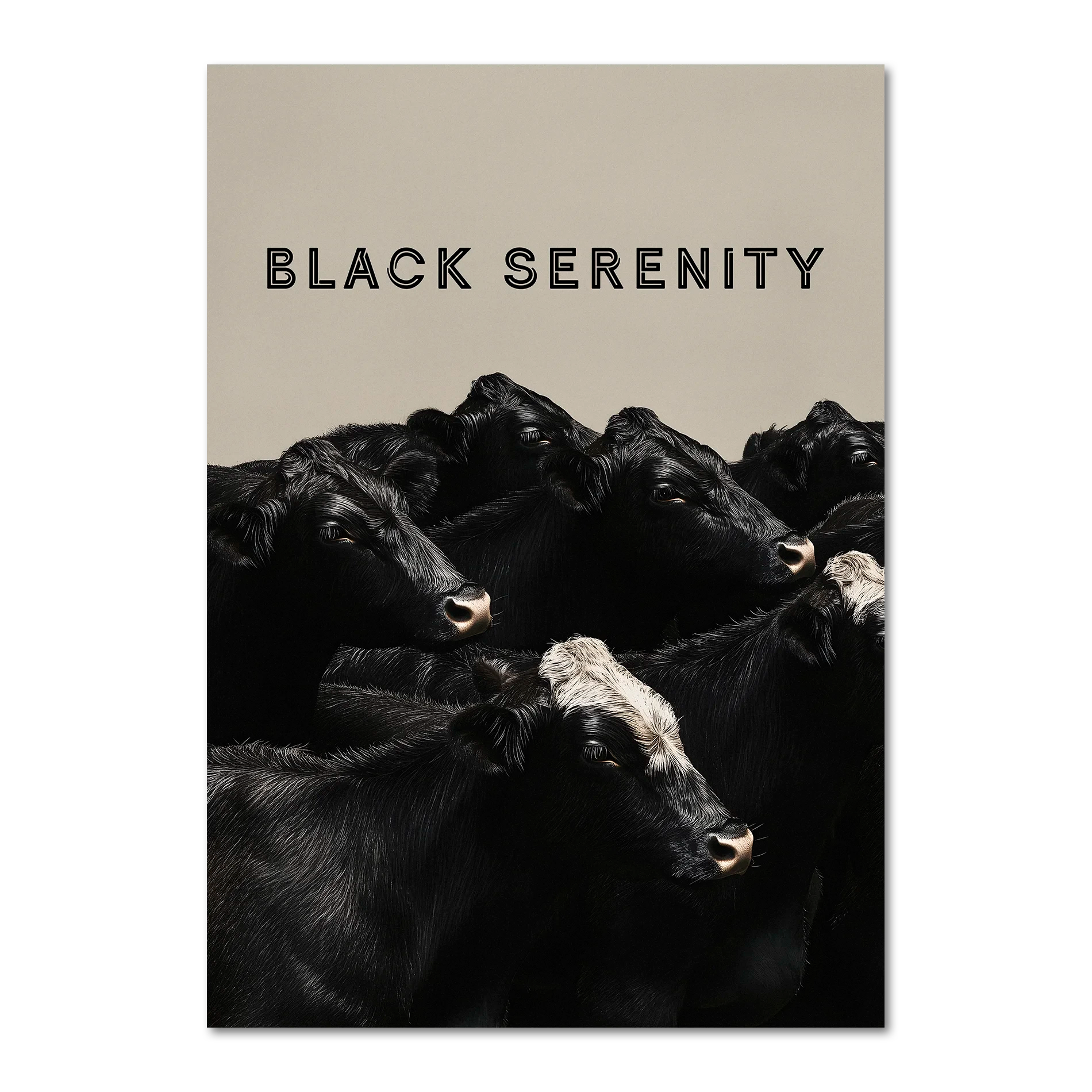 Black Serenity - Poster