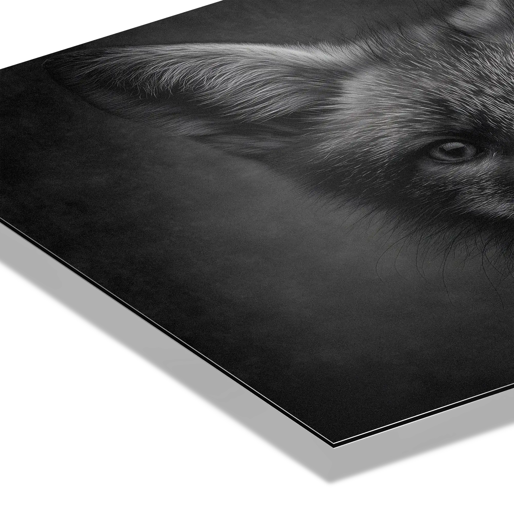Le charme d'un renard - Tableau mural en Alu-Dibond