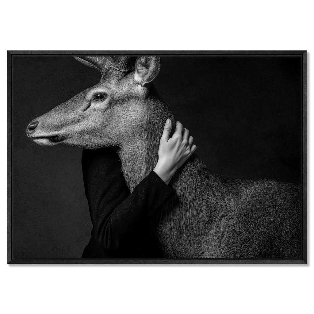 Closeness of an Alpine Deer – Alu-Dibond wall art showing intimate connection between human and deer.