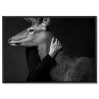 Closeness of an Alpine Deer – Alu-Dibond wall art showing intimate connection between human and deer.