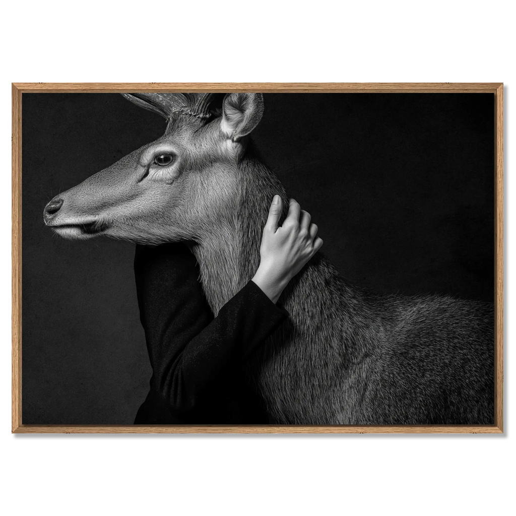 Closeness of an Alpine Deer – Alu-Dibond wall art showcasing human and deer connection in monochrome.
