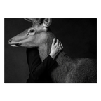 Closeness of an Alpine Deer – Alu-Dibond wall art depicting trust between a human and an alpine deer in monochrome.