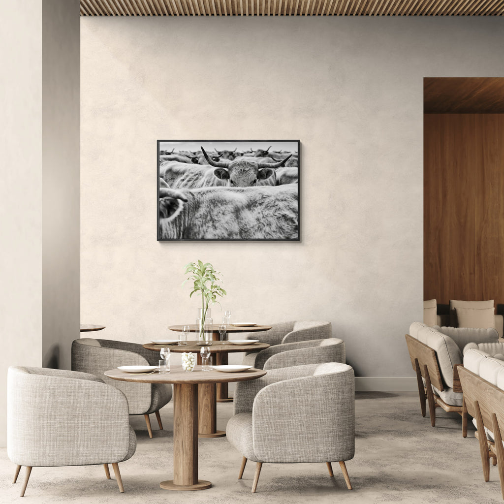 Cow Behind Gaze – Alu-Dibond wall art