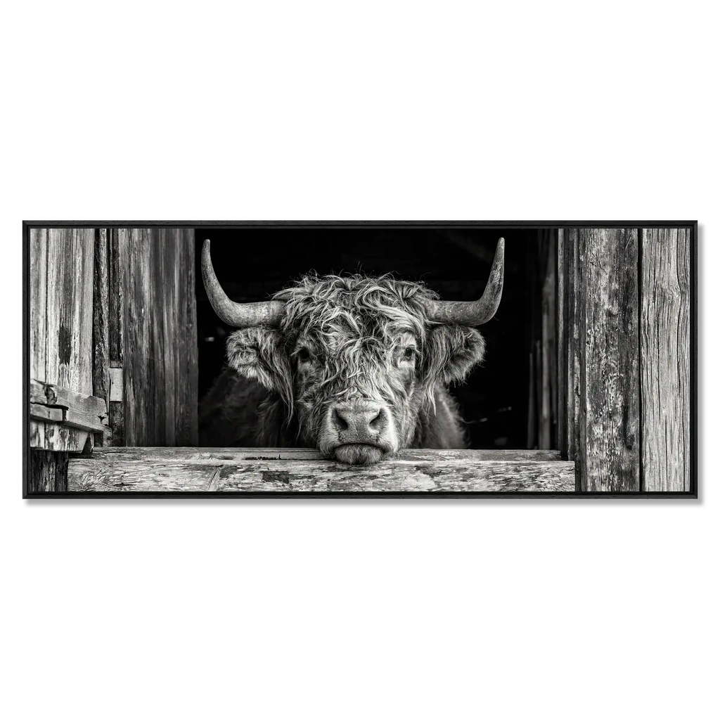Cow at the Barn Window