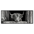 Cow at the Barn Window