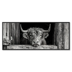 Cow at the Barn Window