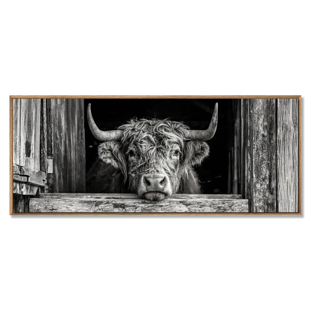 Cow at the Barn Window