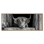 Cow at the Barn Window