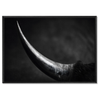 Curve of a Bull – Alu-Dibond wall art showcasing a bull's horn in elegant black and white.