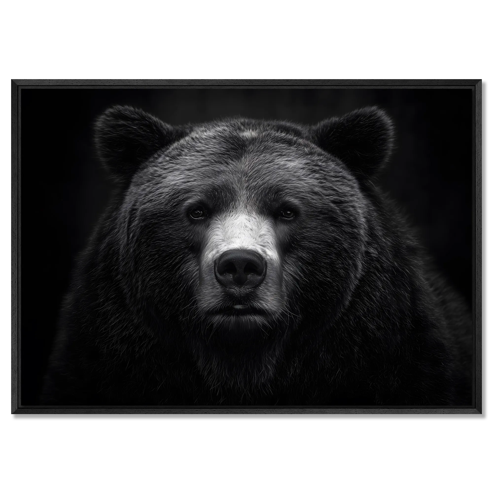 La dignité d'un ours - Tableau mural en Alu-Dibond