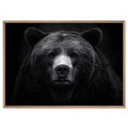 La dignité d'un ours - Tableau mural en Alu-Dibond