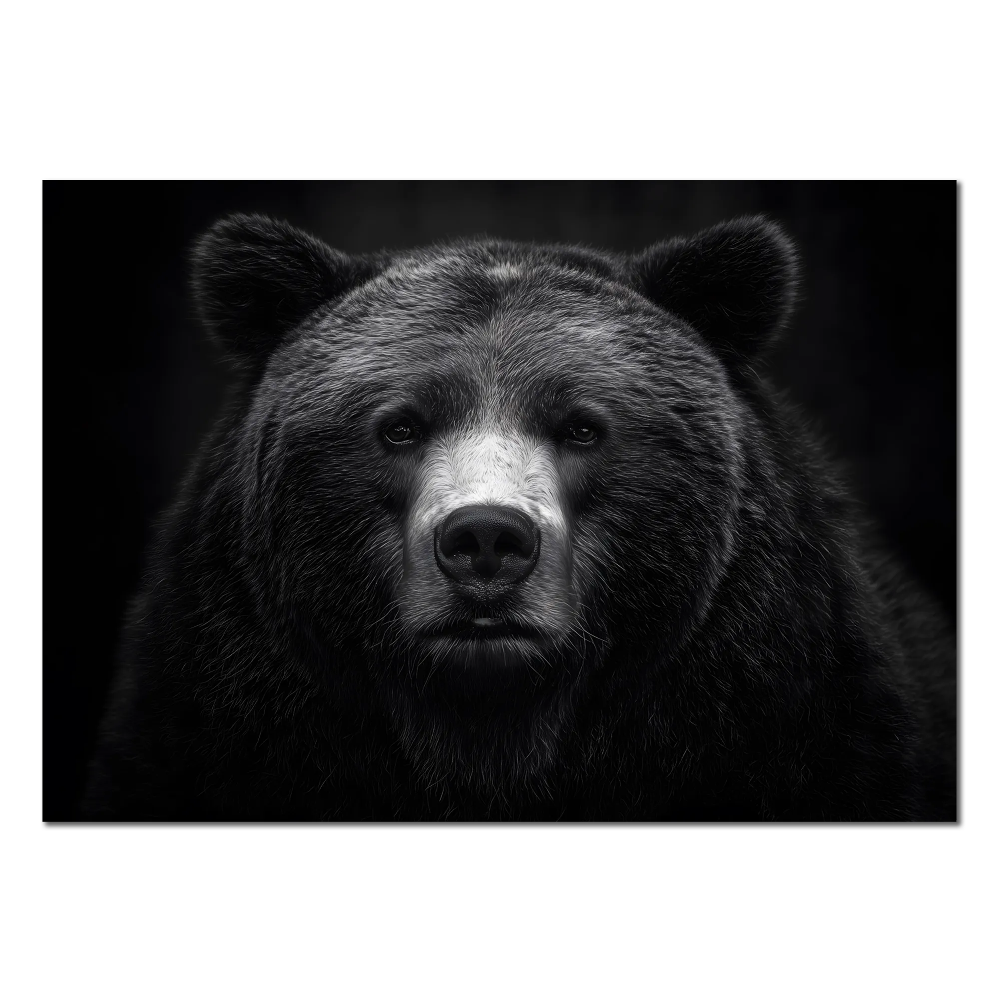 La dignité d'un ours - Tableau mural en Alu-Dibond