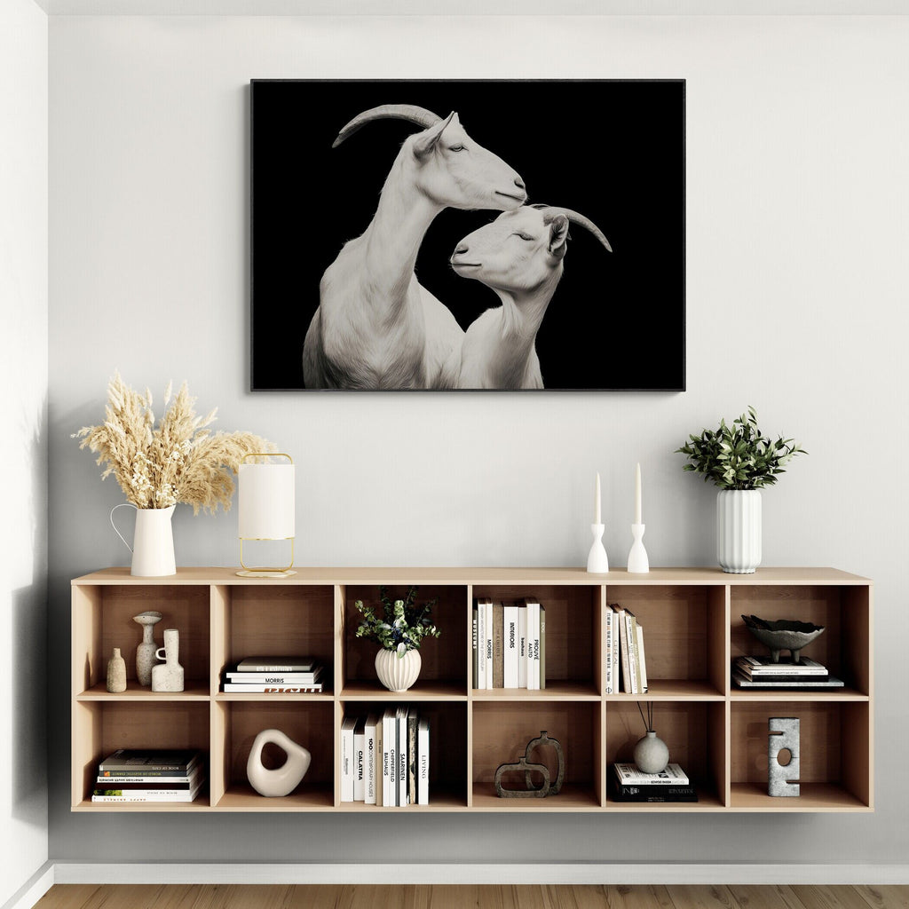 Elegance of goats - Alu-Dibond wall art depicting two alpine goats showcasing affection.