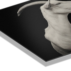 Élégance des chèvres - Tableau en Alu-Dibond