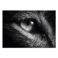 Eye of a Fox – Alu-Dibond wall art capturing detailed fox eye and fur features.