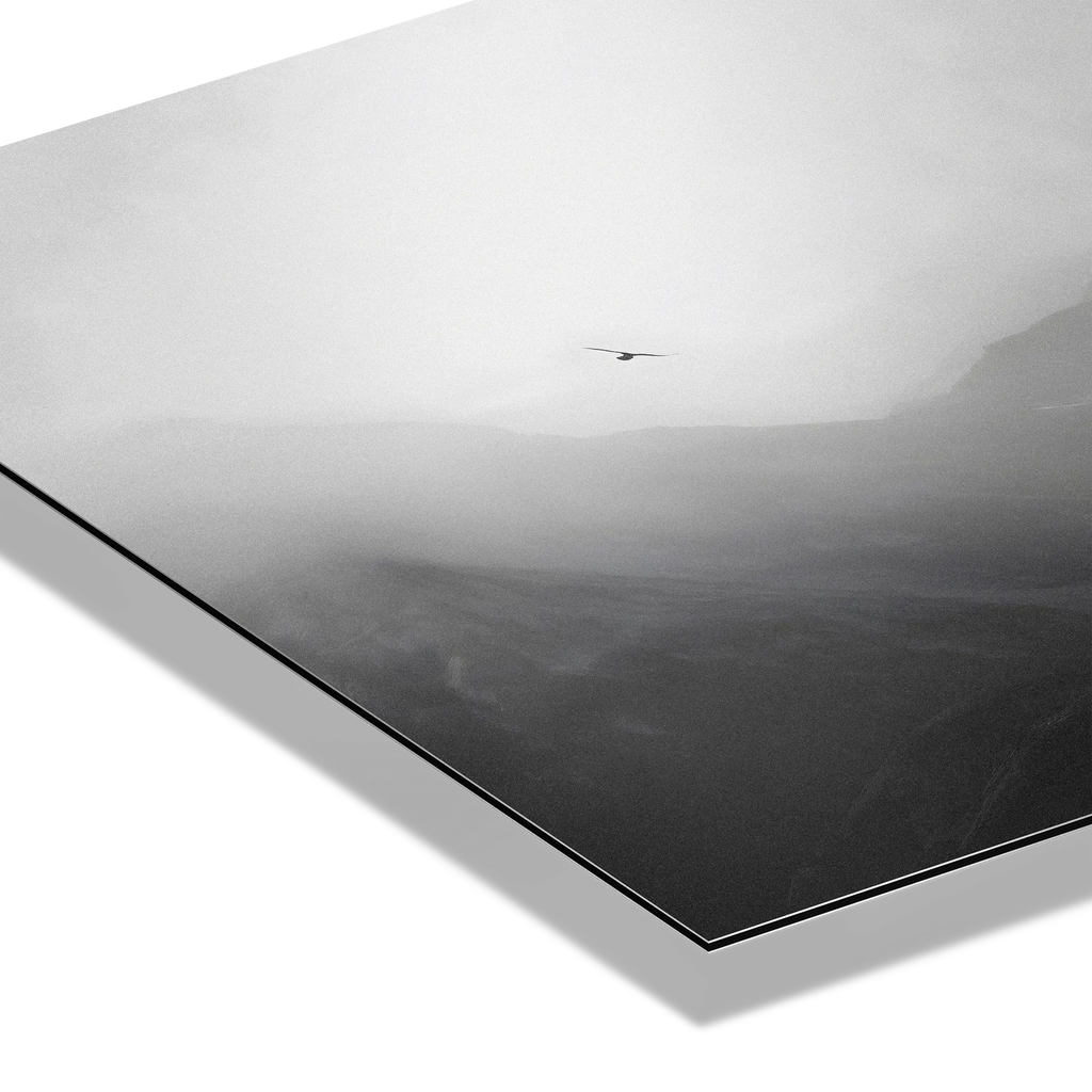 Flight over the Alps – Alu-Dibond wall art featuring a bird gliding through misty alpine landscape.