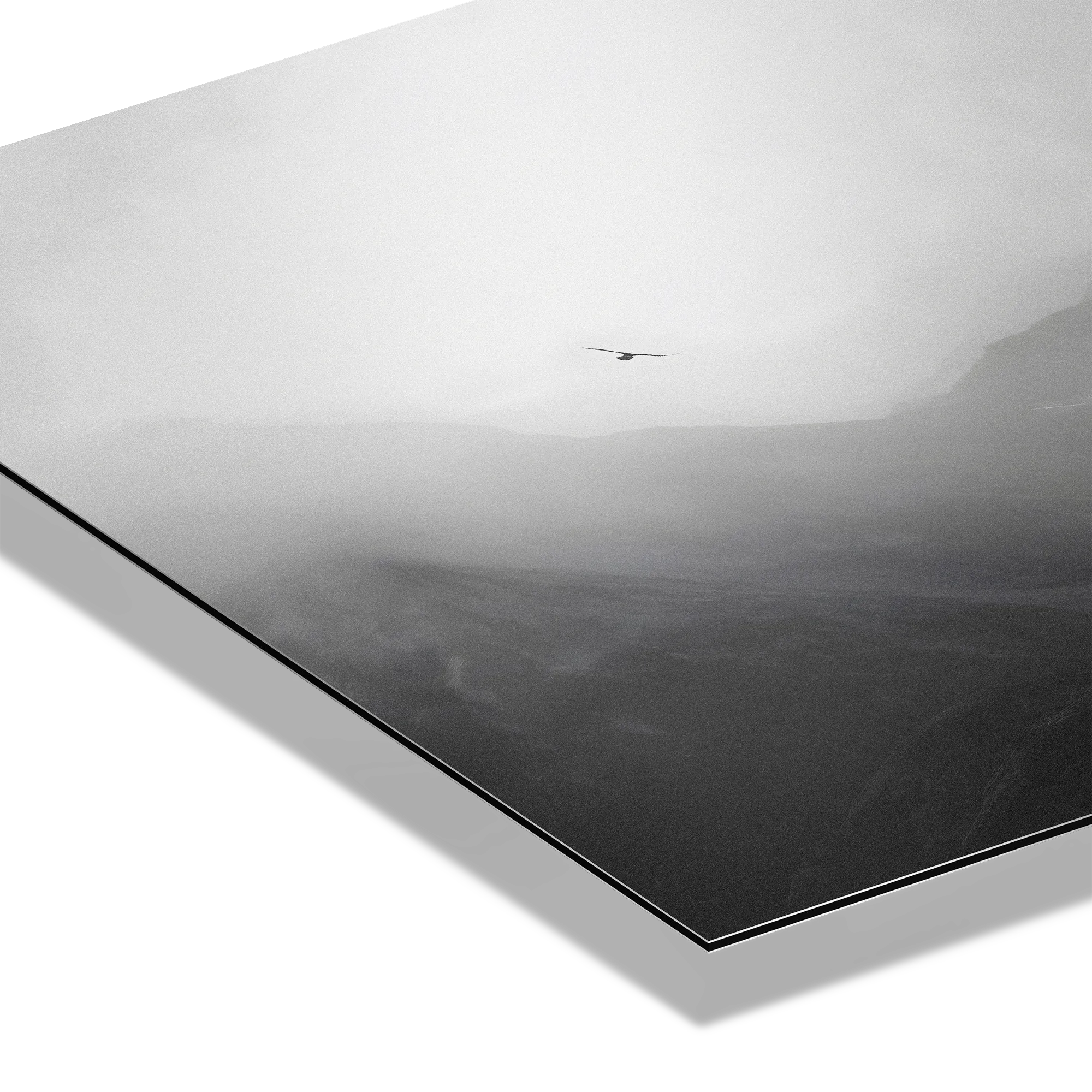 Flight over the Alps – Alu-Dibond wall art featuring a bird gliding through misty alpine landscape.