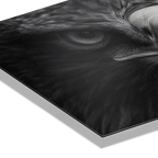 Aigle au centre de l'attention - Tableau mural en Alu-Dibond