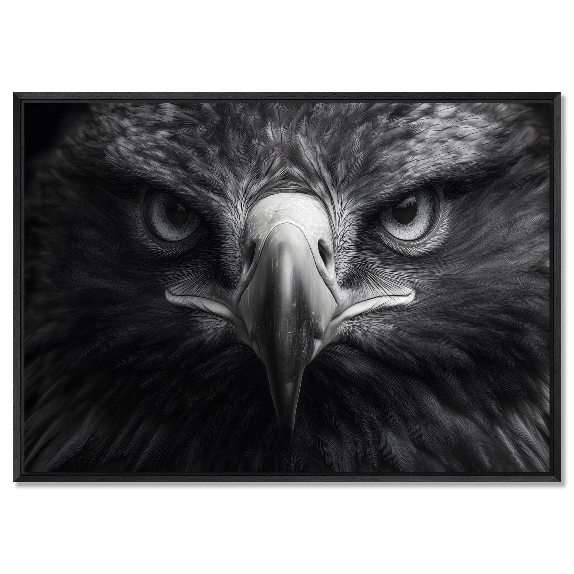 Aigle au centre de l'attention - Tableau mural en Alu-Dibond