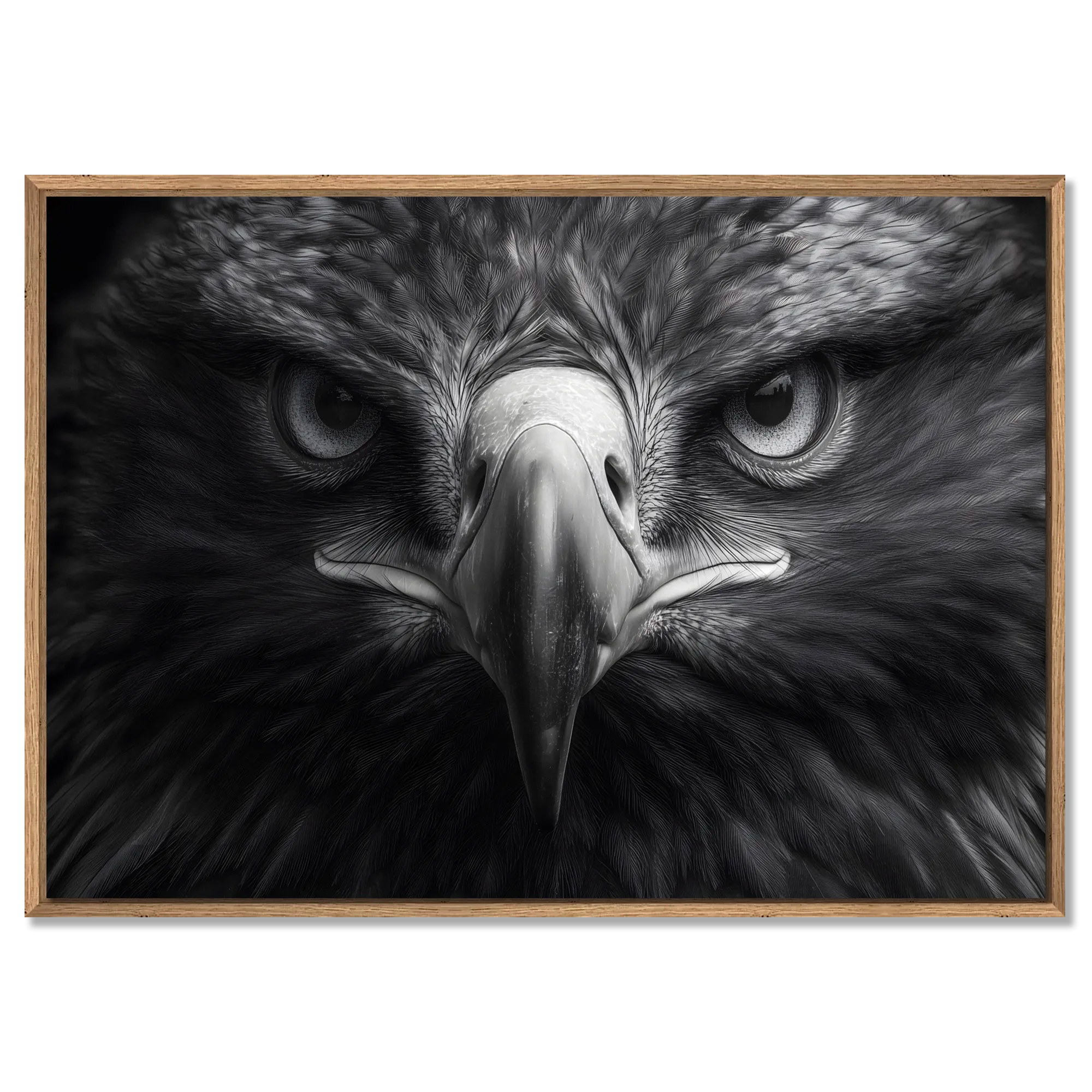 Aigle au centre de l'attention - Tableau mural en Alu-Dibond