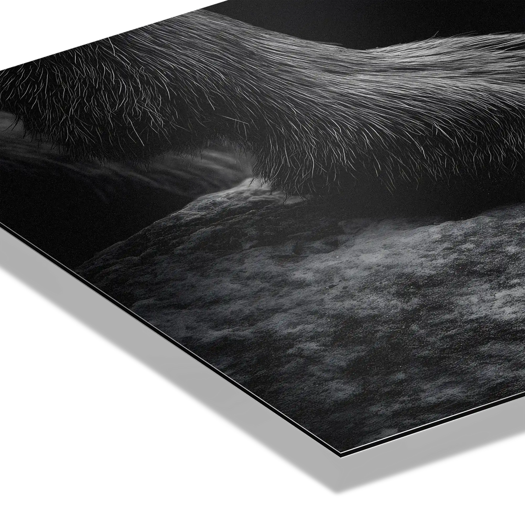 Footing of a Goat – Alu-Dibond wall art showcasing the detailed fur and texture of a mountain goat's paw on stone.