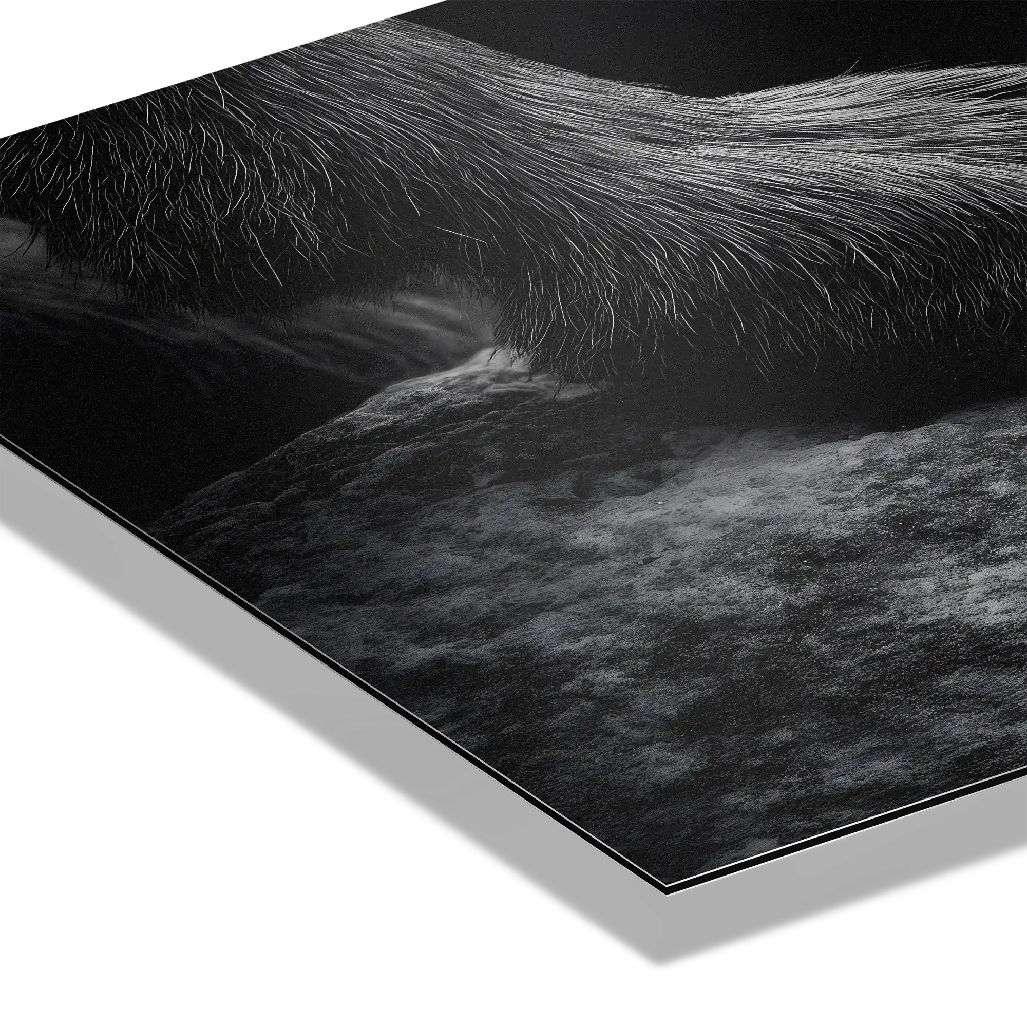 Footing of a Goat – Alu-Dibond wall art showcasing the detailed fur and texture of a mountain goat's paw on stone.