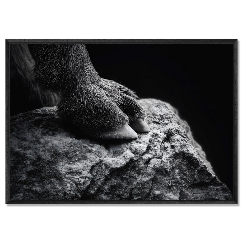 Footing of a Goat – Alu-Dibond wall art featuring a close-up of a mountain goat's hooves on stone.