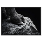 Footing of a Goat – Alu-Dibond wall art featuring a close-up of a mountain goat's hooves on stone.